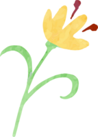 bloem aquarel vector