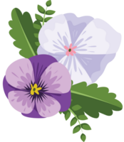 viooltje bloem vector