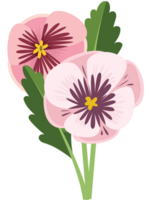 viooltje bloem vector