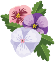 viooltje bloem vector