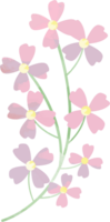 bloem aquarel vector