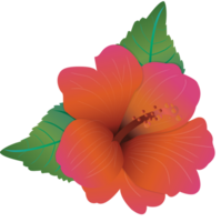 Polynesische bloem vector