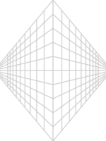 geometrische draadframe lijn vector