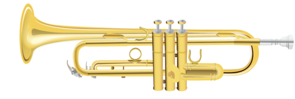 trompet realistisch vector