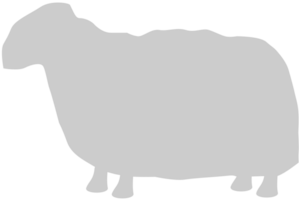 schapen vector