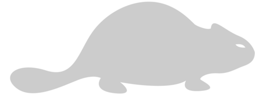 bever vector