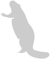 bever vector