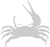 krab vector