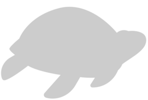 schildpad vector