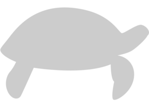 schildpad vector