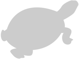 schildpad vector