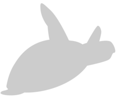 schildpad vector