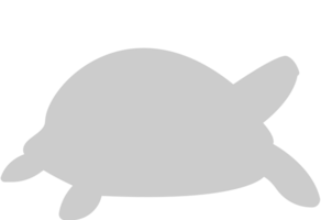 schildpad vector