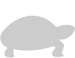 schildpad vector