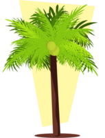 kokosnootboom vector