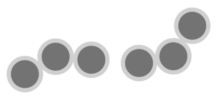 bacterie vector