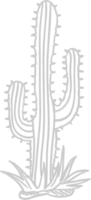 cactus vector