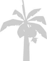 palmboom vector