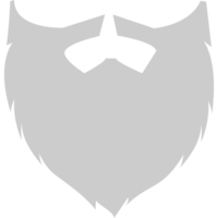 baard vector