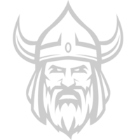 viking vector