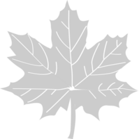 esdoorn blad vector