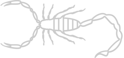 schorpioen vector