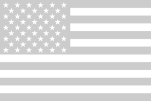 Amerikaanse vlag vector