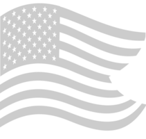 Amerikaanse vlag vector
