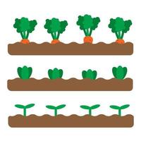 set van 3 tuinbedden met verschillende groeiende groenten en planten. platte lentetuin illustratie. tuinieren pictogrammen. vectorillustratie in cartoon vlakke stijl. stadslandbouw en landbouwconcept vector