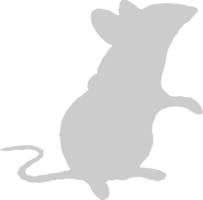 muis dier vector