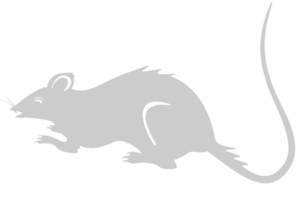 muis dier vector