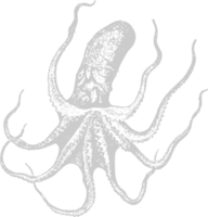 octopus hand getrokken vector