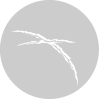 kras klauw op cirkelvorm vector