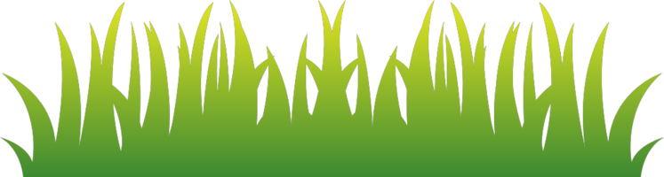 gras vector