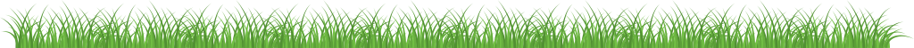 gras vector