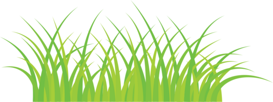 gras vector