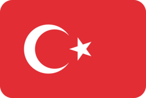 vlag van turkije vector