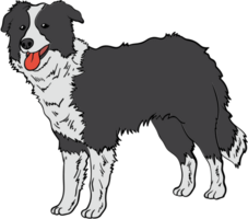 hond vector