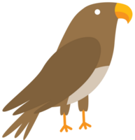 vogel vector