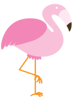 flamingo vector