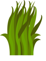 gras vector