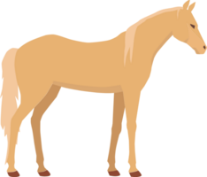 paard vector