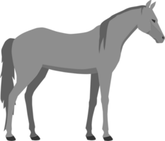 paard vector