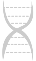 biologie dna vector