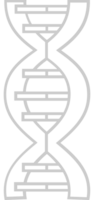 biologie dna vector