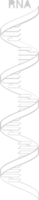 biologie dna vector