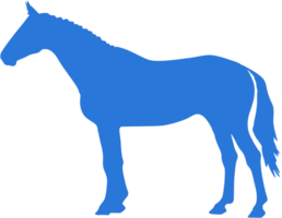 paard vector