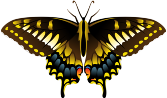vlinder vector