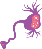 neuron vector