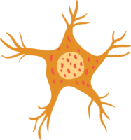 neuron vector